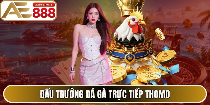 AE888 Earnote ✔️ Link Truy Cập Trang Chủ AE888 Official 2026 14 Đấu trường đá gà trực tiếp thomo với 45K tín đồ theo dõi mỗi ngày